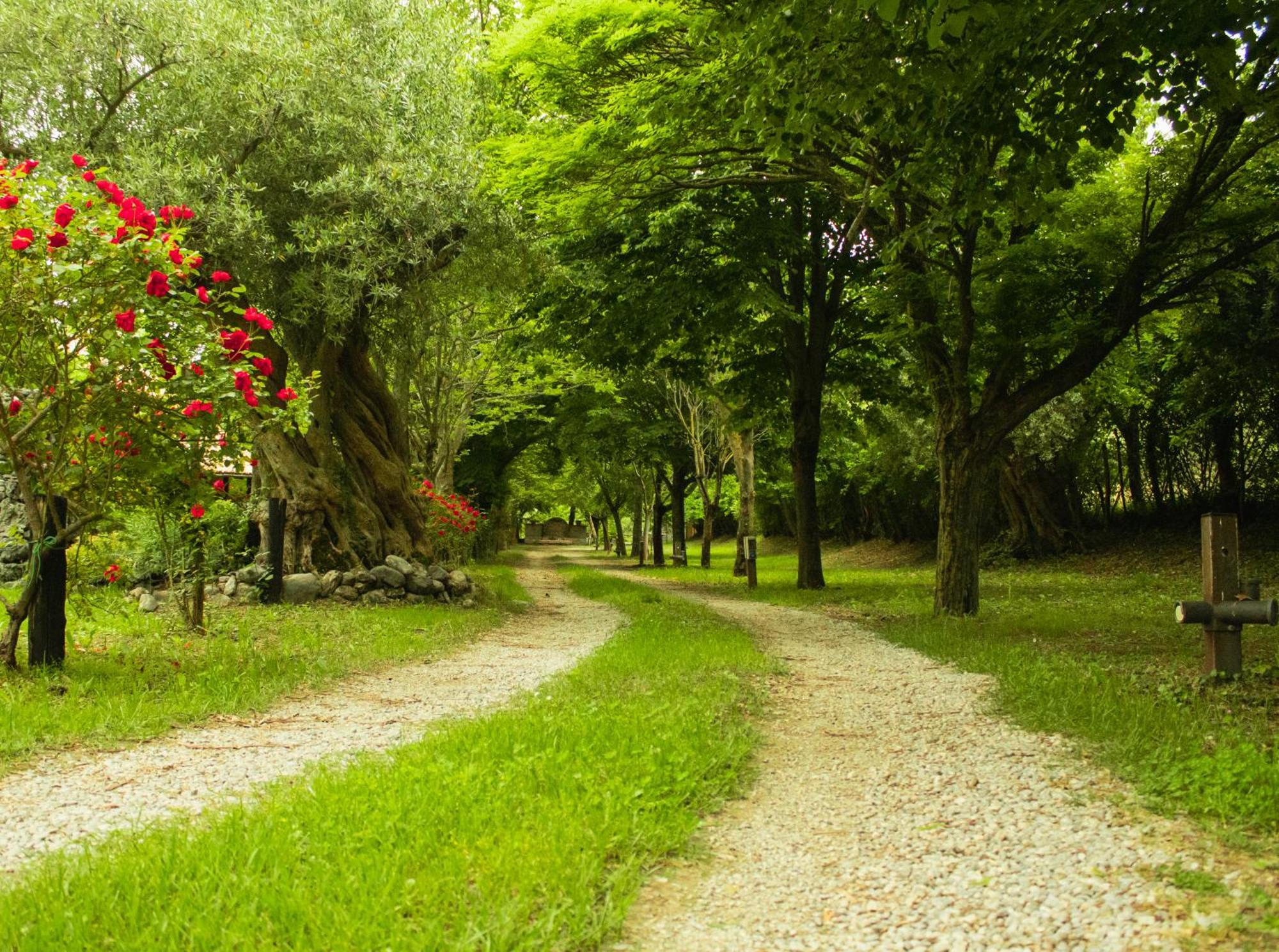Agriturismo La Locanda Del Parco โมราโนคาลาโบร ภายนอก รูปภาพ
