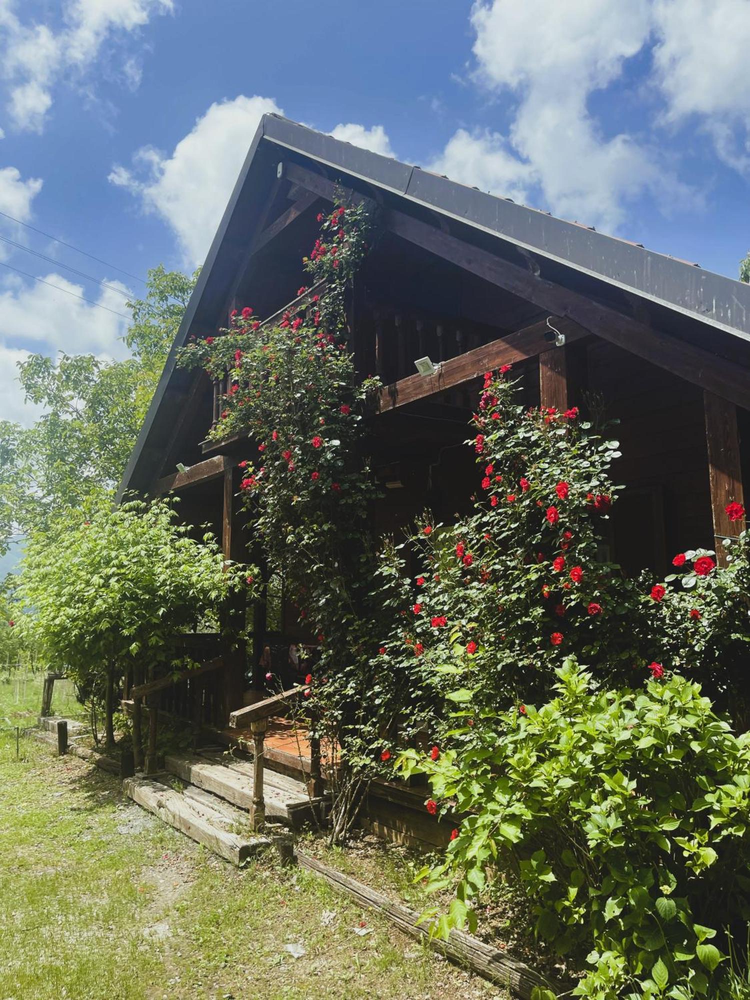 Agriturismo La Locanda Del Parco โมราโนคาลาโบร ภายนอก รูปภาพ