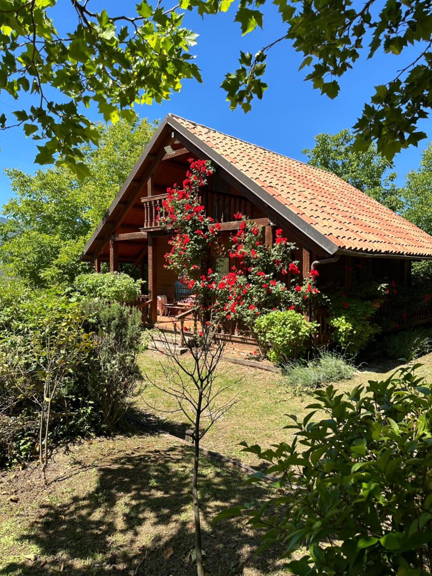 Agriturismo La Locanda Del Parco โมราโนคาลาโบร ภายนอก รูปภาพ